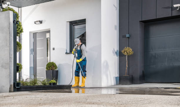 Best Fence Cleaning  in South Les, AK